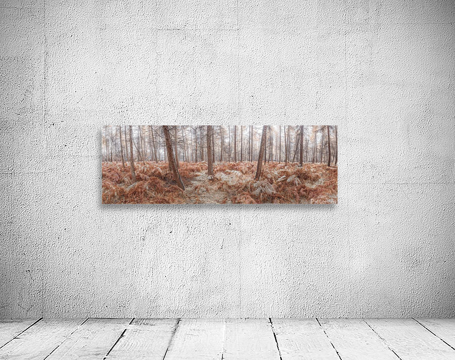 Autumn forest Wall Preview