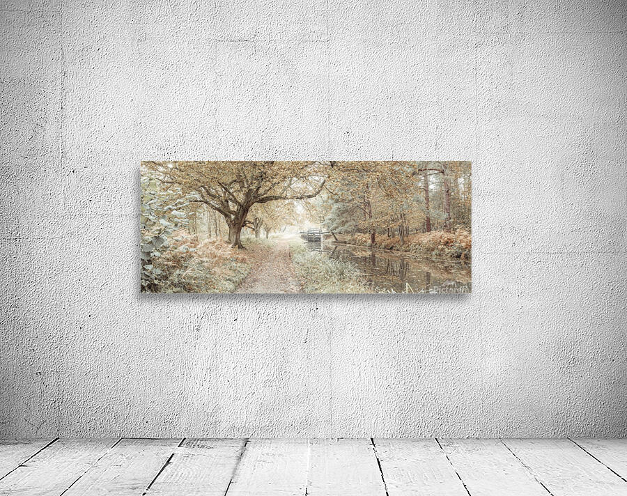 Canal through a forest Wall Preview