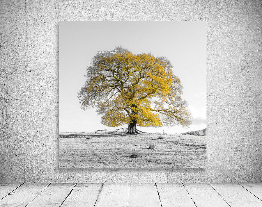 Tree on a hill, yellow, gold Wall Preview