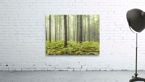Dense Forest Wall Preview