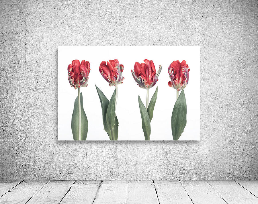 Rococo Tulips Wall Preview