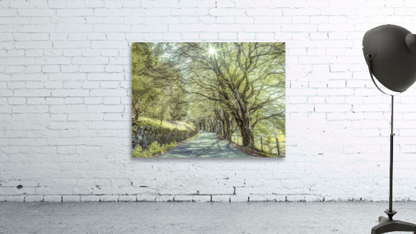 Road Through Trees Wall Preview