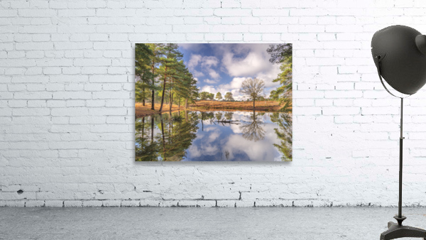 Forest Reflections Wall Preview