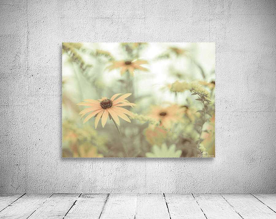 Cone flowers Wall Preview