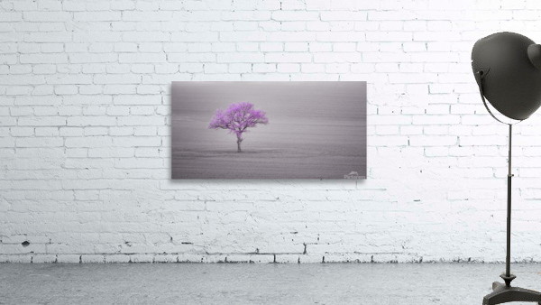 Lone Tree Wall Preview