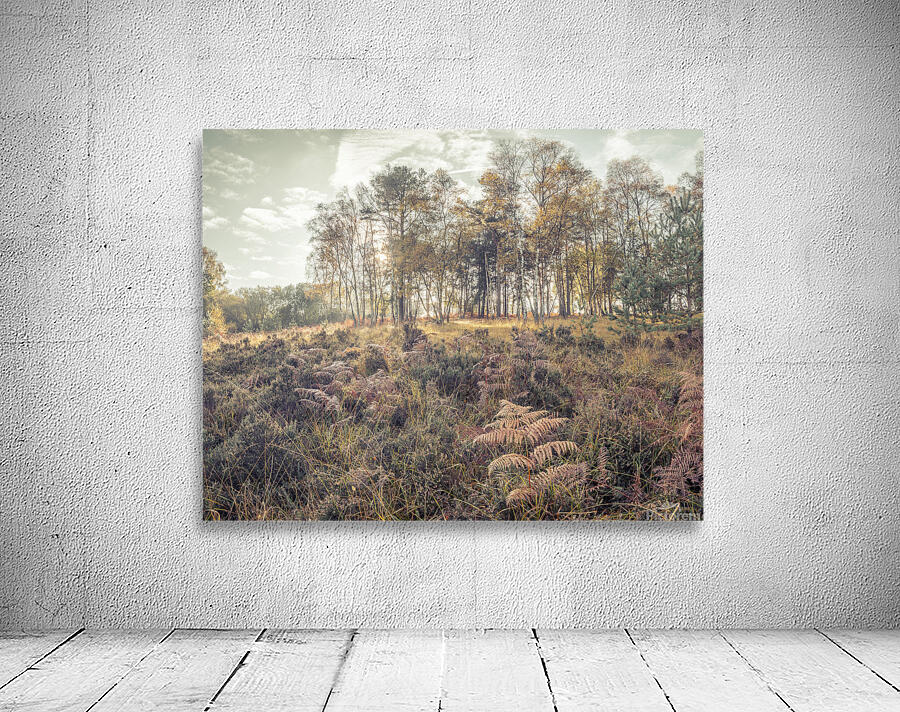 Forest Trees and Foliage Wall Preview