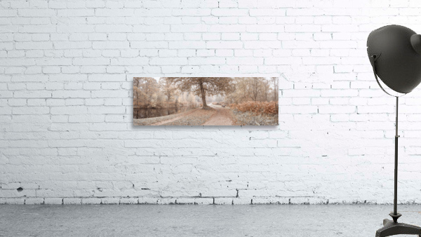 Misty Canal Wall Preview