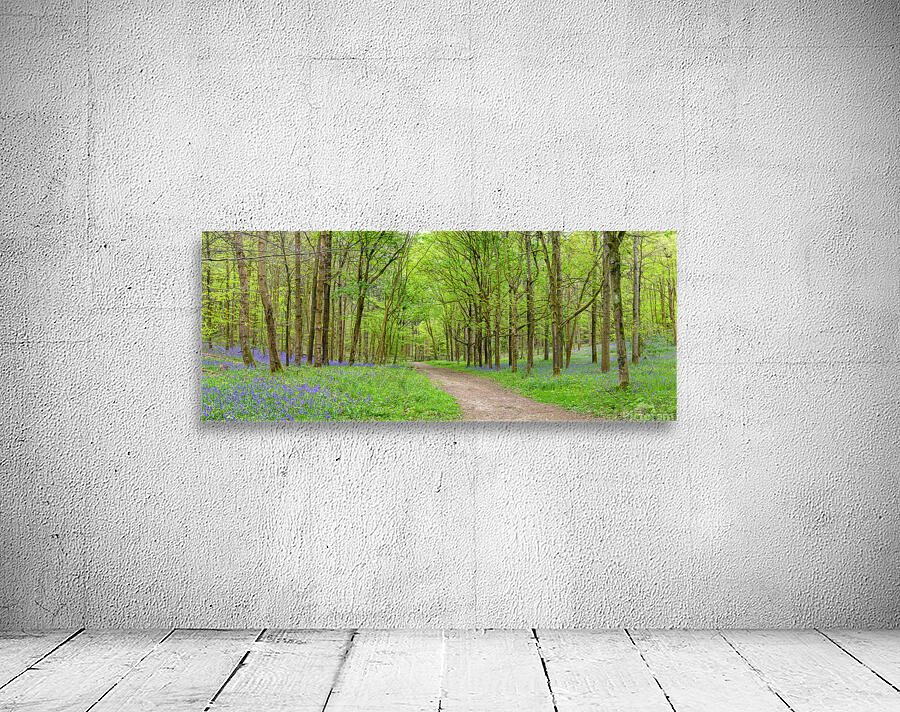 Blubells Forest Wall Preview