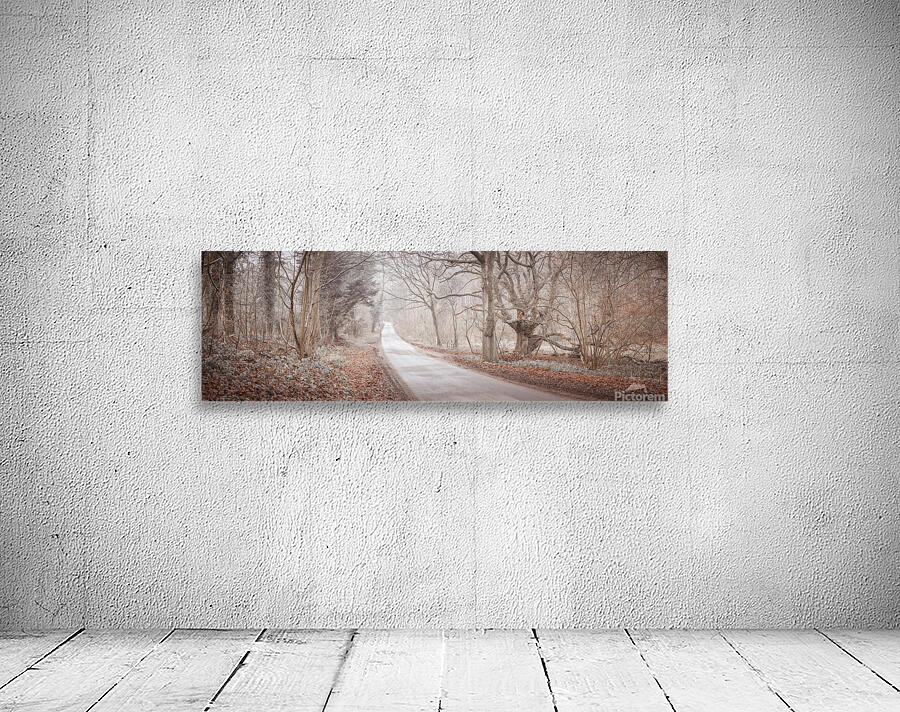 Road through forest Wall Preview