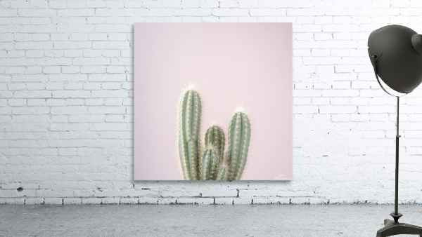 Cactus Wall Preview
