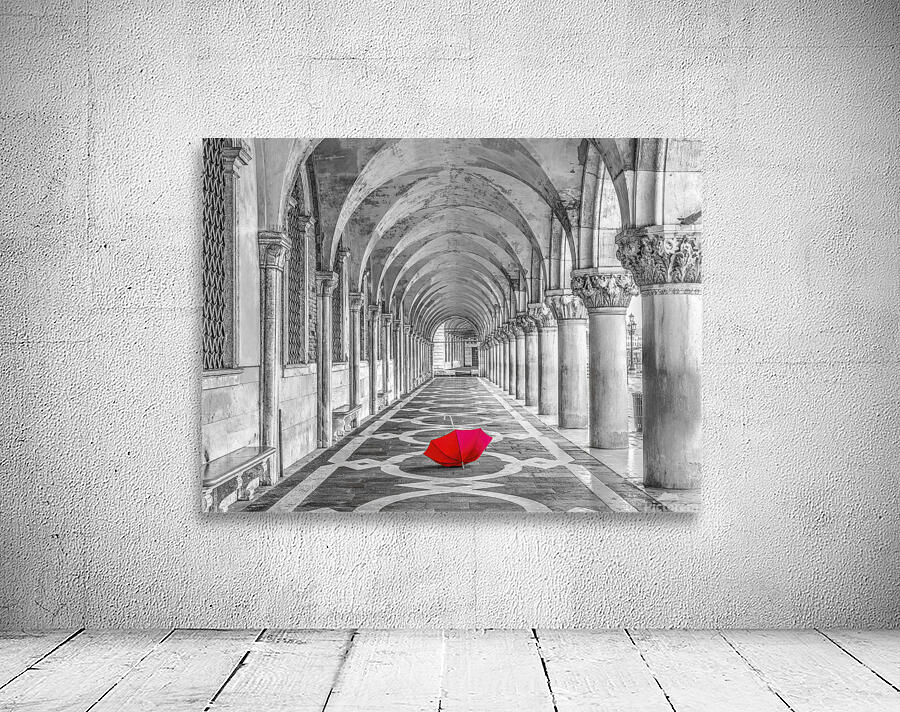 Doges Palace Wall Preview