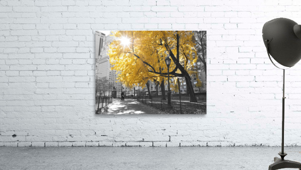 Park Pretty Wall Preview