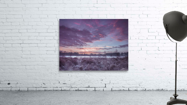 Meadow under cloudscape Wall Preview