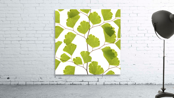 Fern Leaf Wall Preview