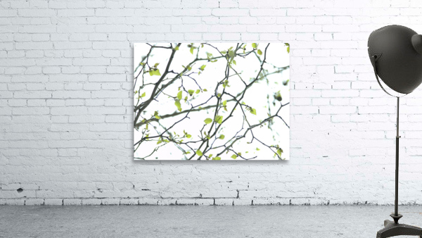Twigs Wall Preview