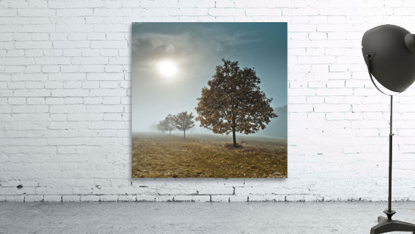 Trees in the Mist Wall Preview