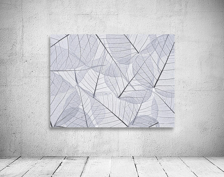 Skeleton Leaves Wall Preview