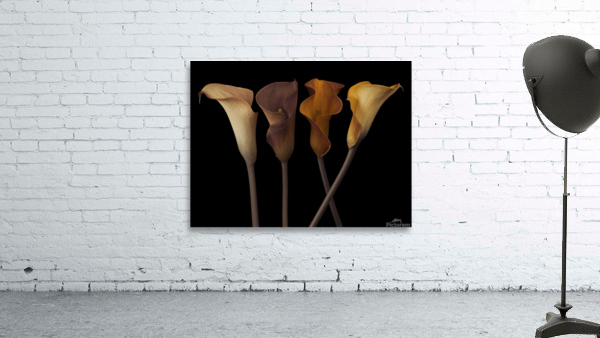 Calla Lilies Wall Preview