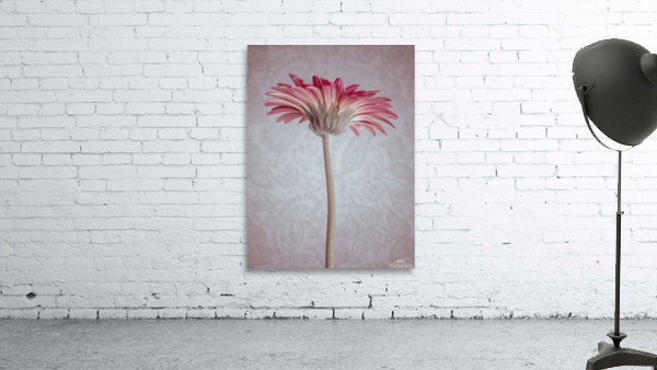 Gerbera Flower Wall Preview