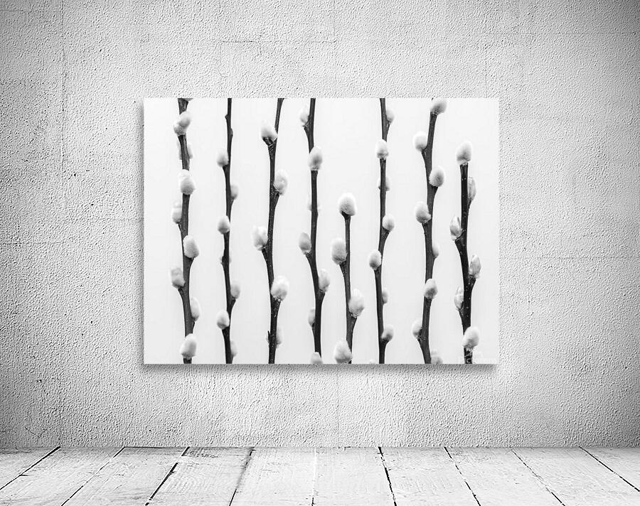 Pussy Willow Wall Preview