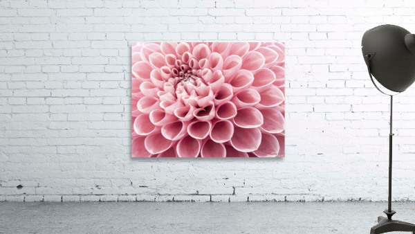 Intricate Petals Wall Preview