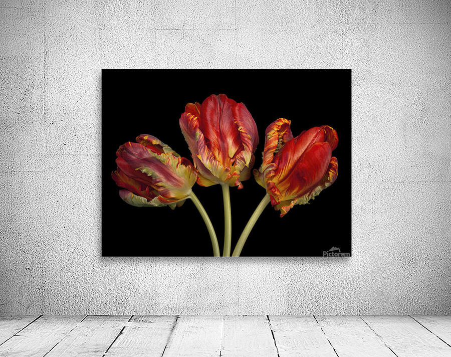 Rococo Tulips Wall Preview