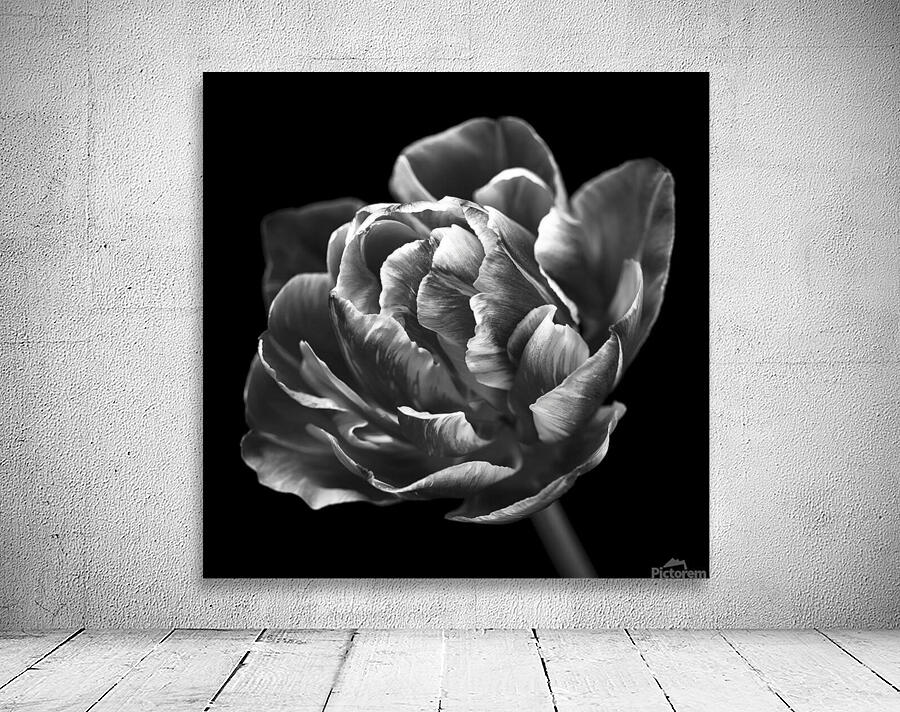 Monochromatic Serenity Wall Preview