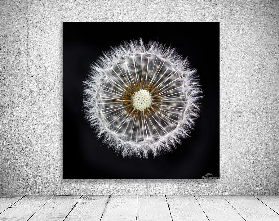 Ethereal Dandelion Clock Wall Preview