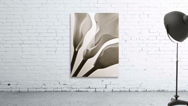 Calla Lillies Wall Preview