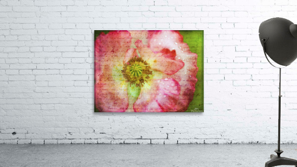 Captivating Poppy Wall Preview