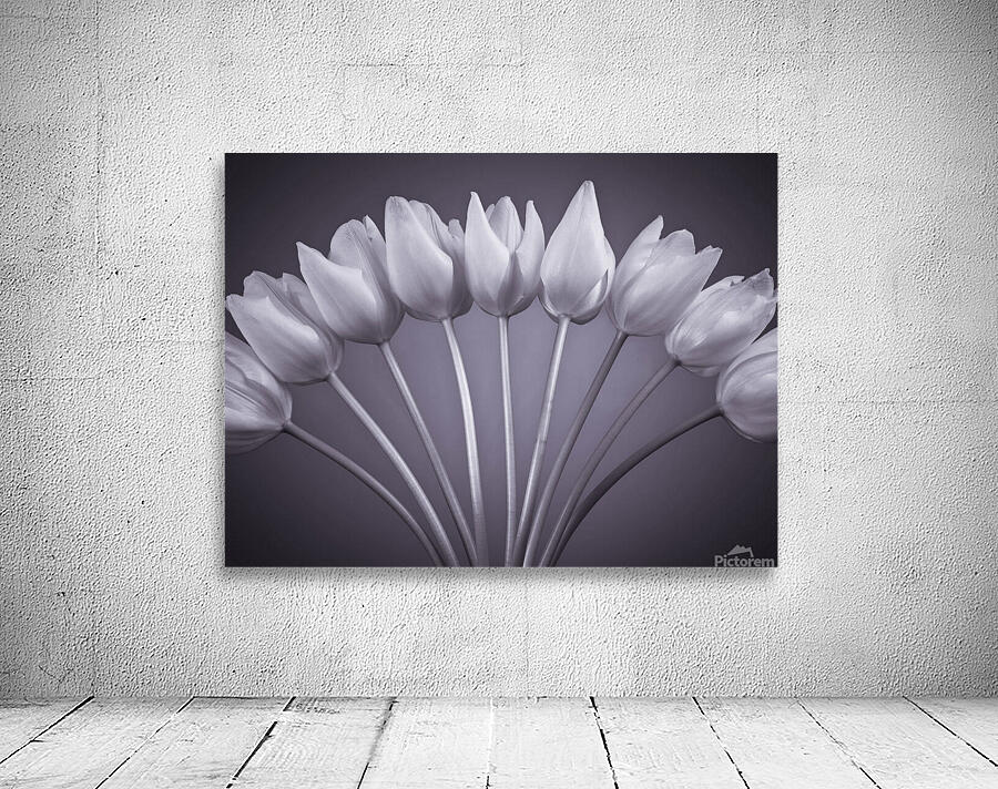 Floral Symphony Wall Preview