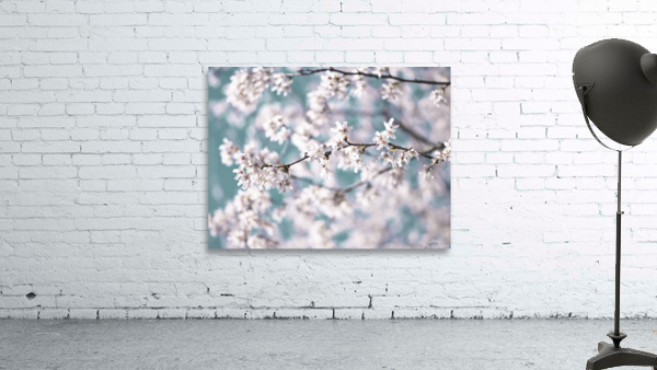 Blossoms Wall Preview