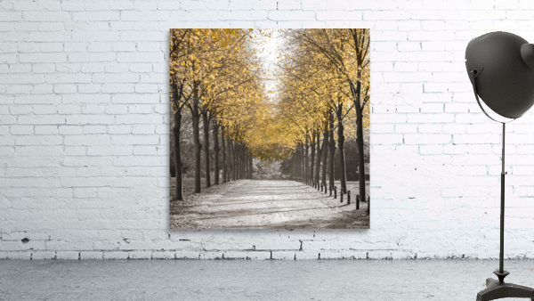 White Gold Wall Preview