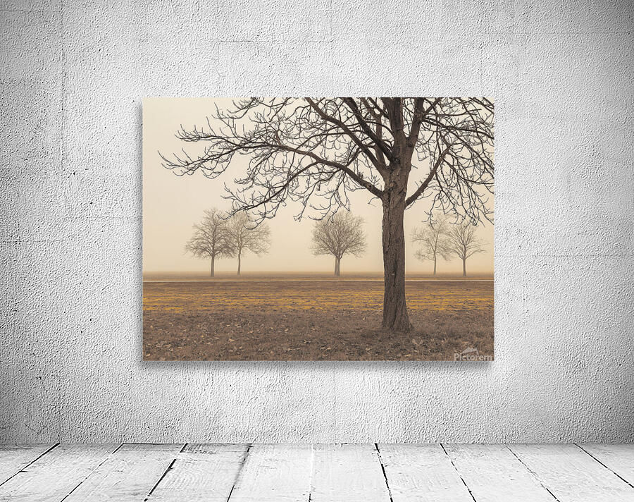 Misty Countryside Wall Preview