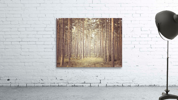 Pine Trees Wall Preview