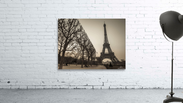 Iconic Elegance Wall Preview