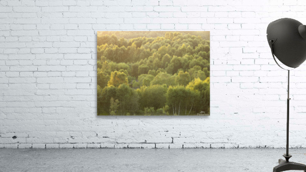 Twilight Canopy Wall Preview