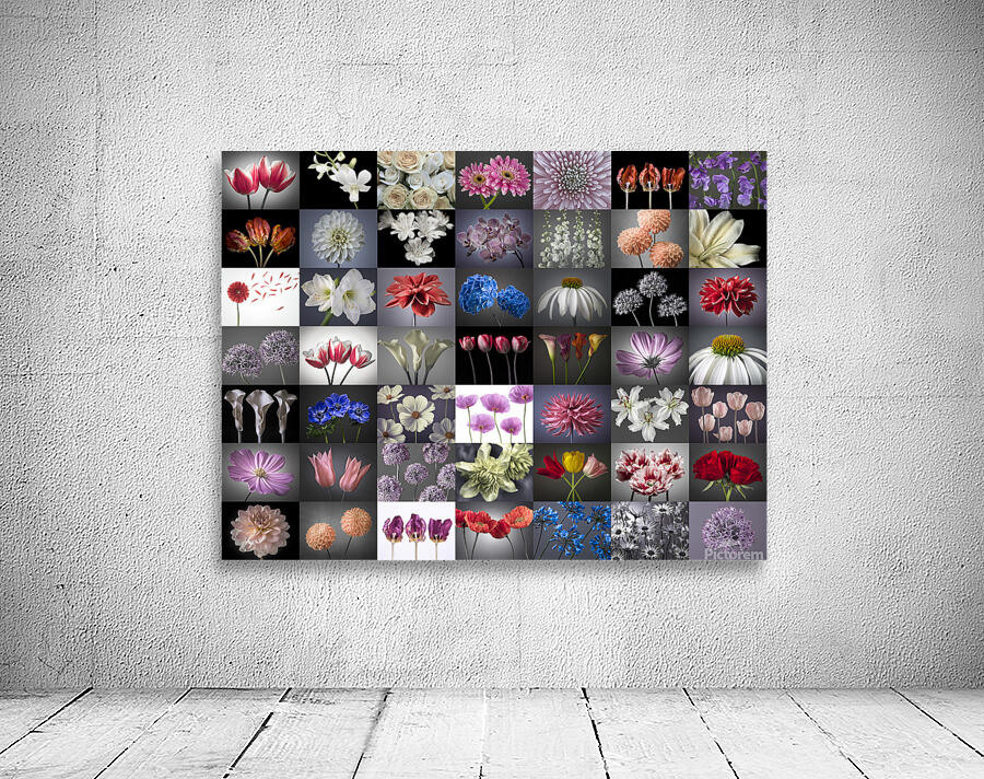 Flowers Collage Wall Preview