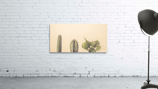 Spiky Delights Wall Preview