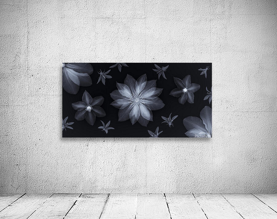 Clematis Flowers Wall Preview