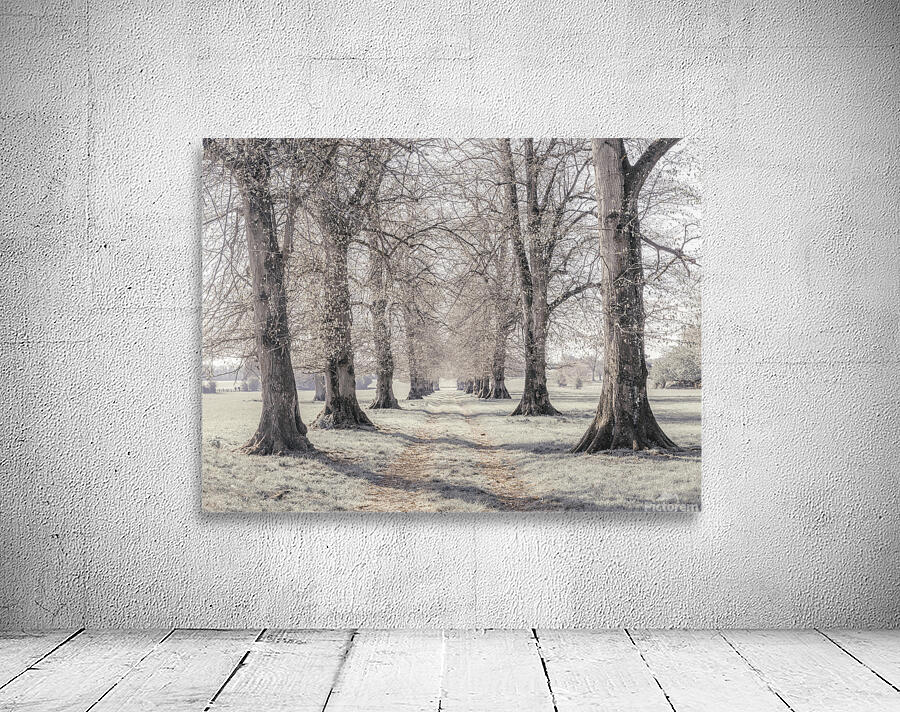 Whispering Woods Wall Preview