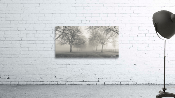 Whispering Woods Wall Preview