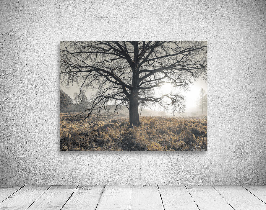 Misty Tree Wall Preview
