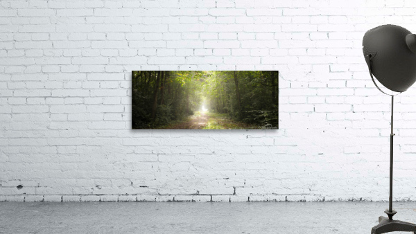 Pathway through misty forest Wall Preview