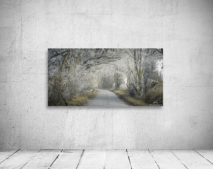 Frosted road through forest Wall Preview