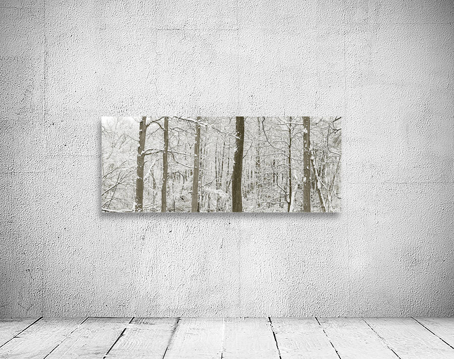 Snowy forest Wall Preview