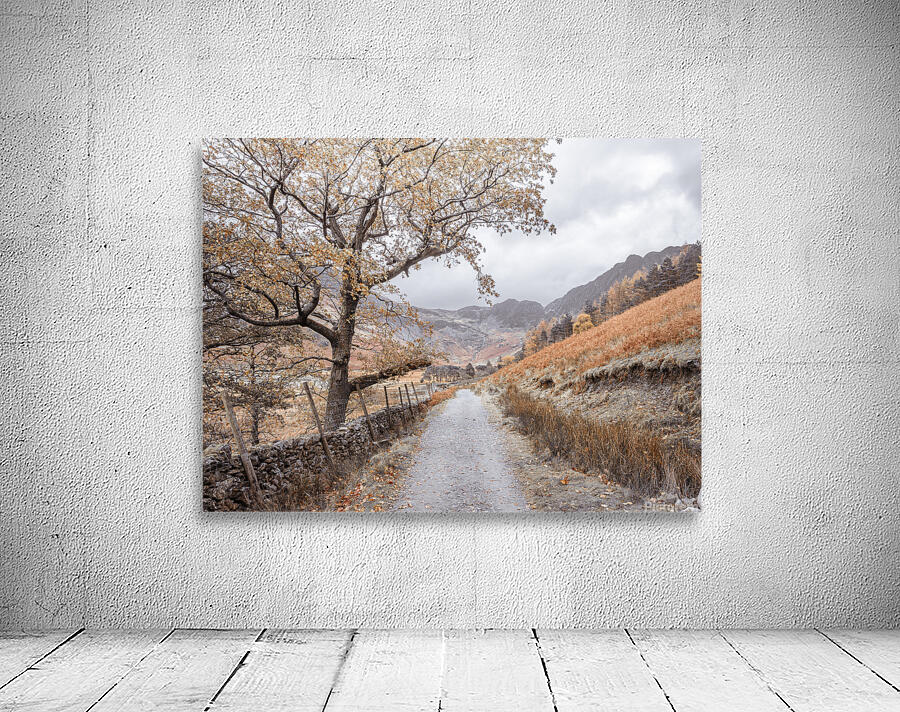 Tranquil Trails Wall Preview