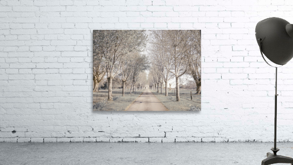 Natures Invitation Wall Preview