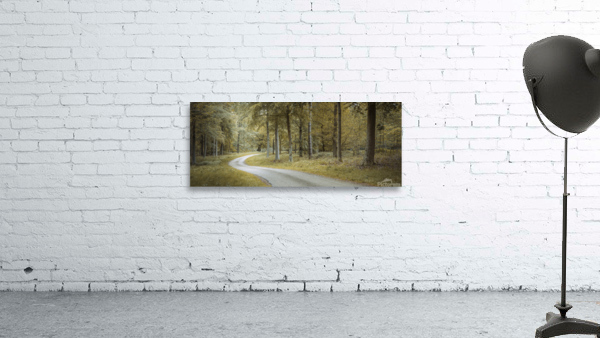Road through forest Wall Preview