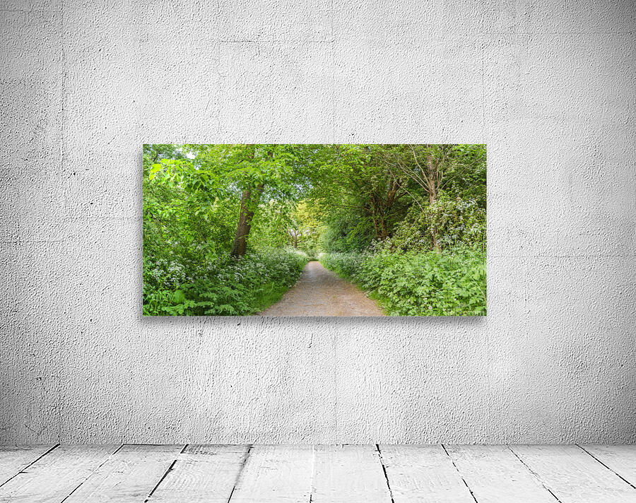 Woodland spring path Wall Preview